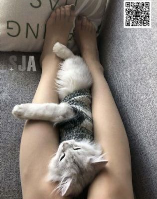 暗格里的秘密电视剧免费