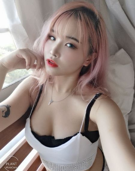 淑女的欲望在线观看