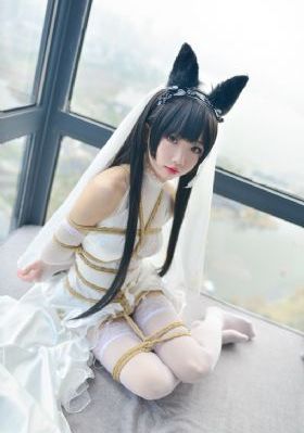如懿传免费观看