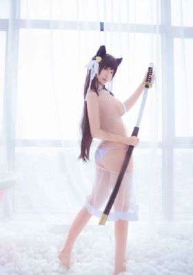 电视剧南来北往免费观看全集播放