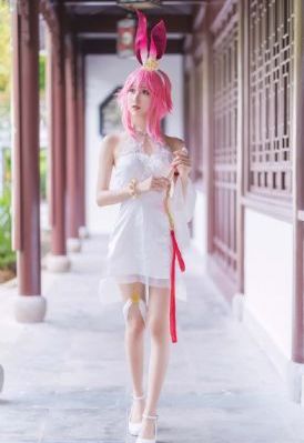 黑暗圣经免费看